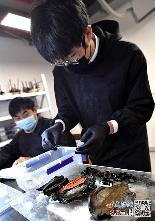 港澳宝典正版资料