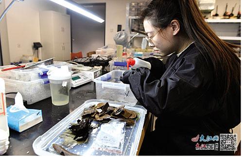 港澳宝典正版资料