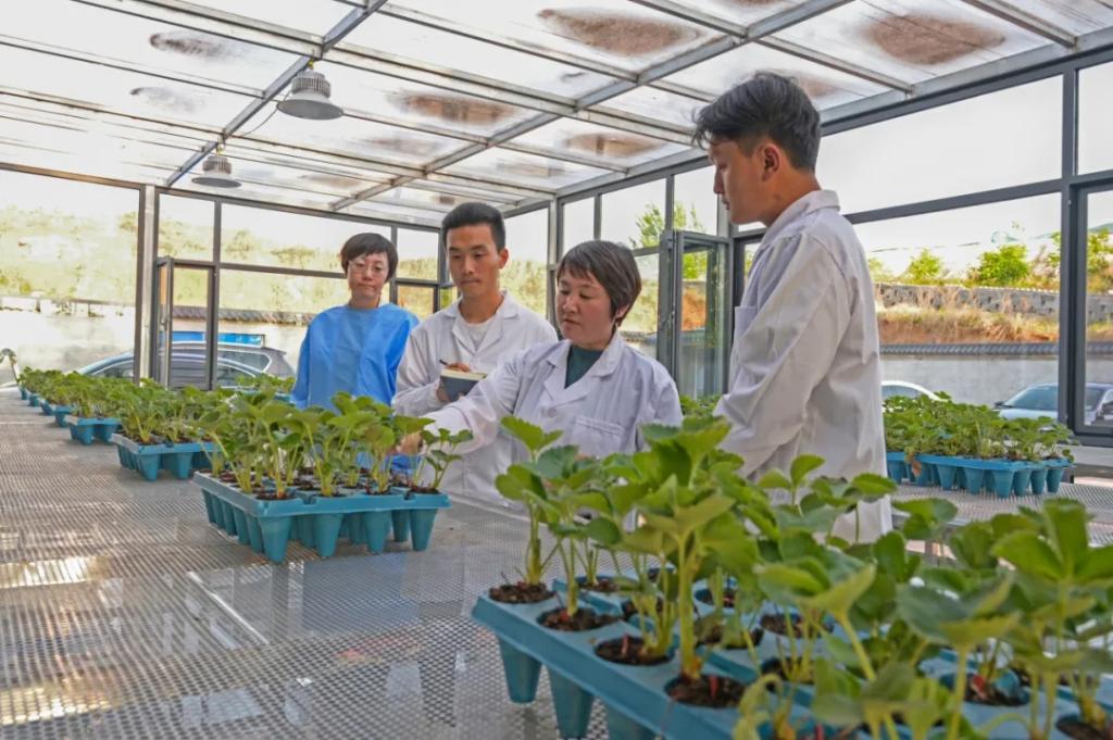 港澳宝典正版资料